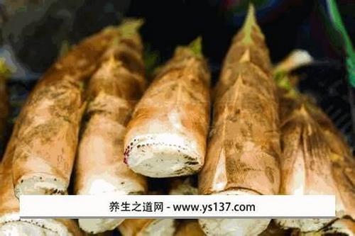 蒋山竹笋特产包装盒设计指南：设计优化与视觉吸引力并重