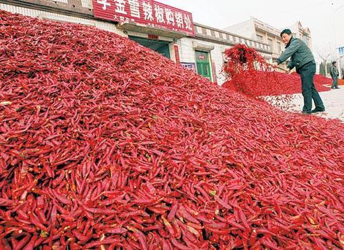 周村辣椒特产包装盒设计指南：如何打造符合设计习惯的视觉吸引力