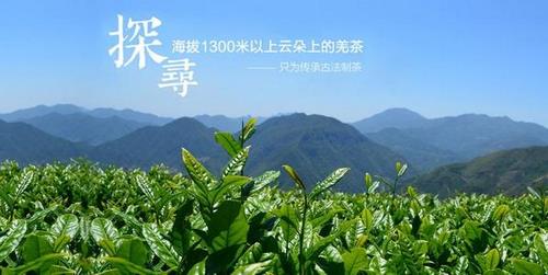 北川苔子茶特产包装盒设计指南：如何打造更具吸引力的包装？