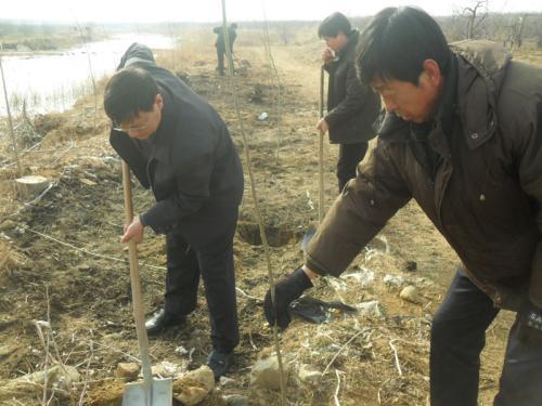 西留村生姜特产：精美包装设计指南，提升设计曝光率